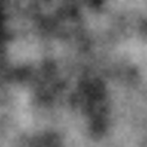 317_4611ae6518f56.png 300X300 px